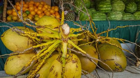 Little Havana Miami Food Tour