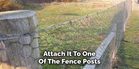 How to Build a Chicken Wire Fence | 11 Easy Guides (2025)