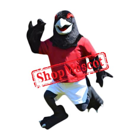 Friendly Black Hawk Mascot Costume