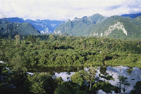 Rainforest In Sarawak, Borneo Photograph by Simon D. Pollard - Pixels