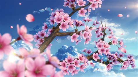 Anime Wallpaper Anime Sakura Tree Drawing