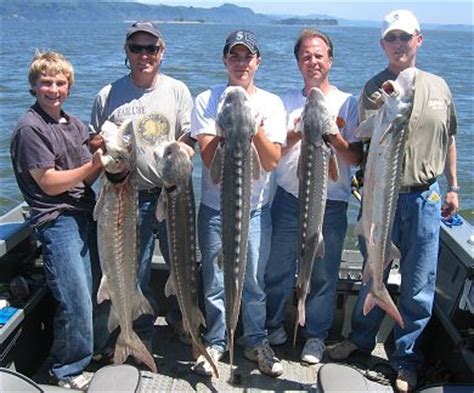 Sturgeon fishing on the Columbia River