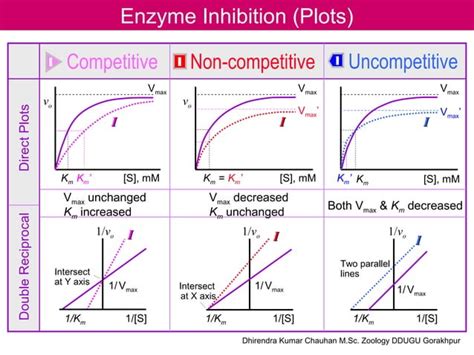 Enzyme inhibition mechanism | PPT