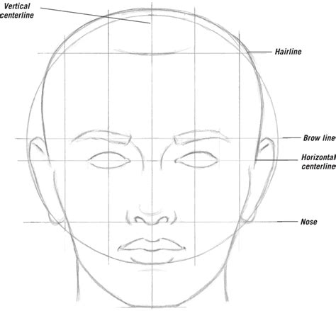 Studying Adult Proportions - Drawing: Faces & Features [Book]