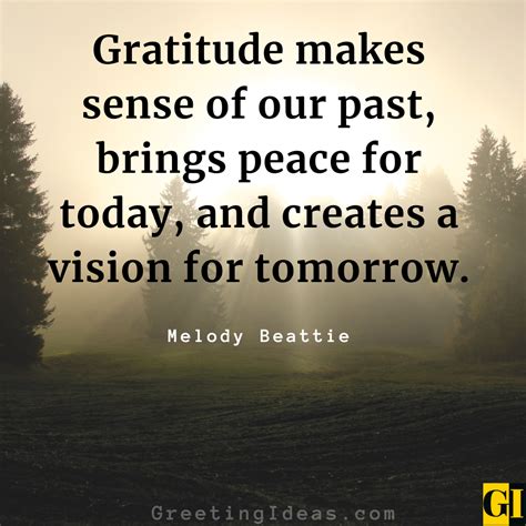 65 Inspiring Daily Gratitude Quotes For Blessed Living