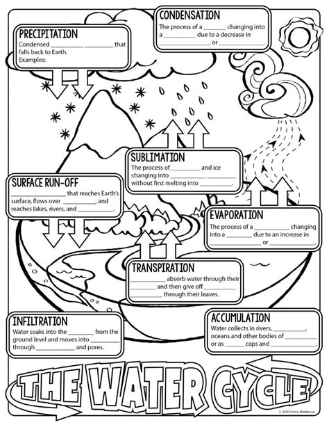 Water Cycle Worksheet Pdf the Water Cycle Notes Interactive Worksheet ...