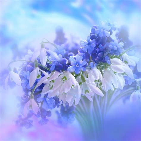 Top more than 56 blue wallpaper with flowers best - in.cdgdbentre