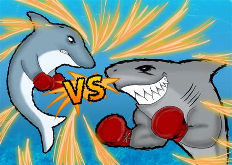 are sharks afraid of dolphins? | Dolphin Discovery | Blogs