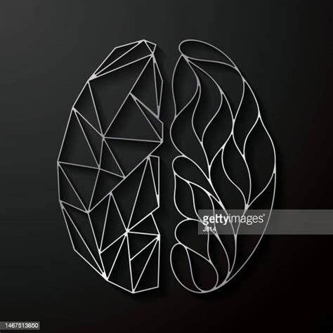 Left Brain Right Brain Illustration Photos and Premium High Res ...