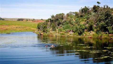 Self catering accommodation | Bateleur Nature Reserve | Nylstroom ...