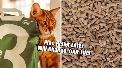 Cat Owners Rejoice! Pine Pellet Litter Will Change Your Life