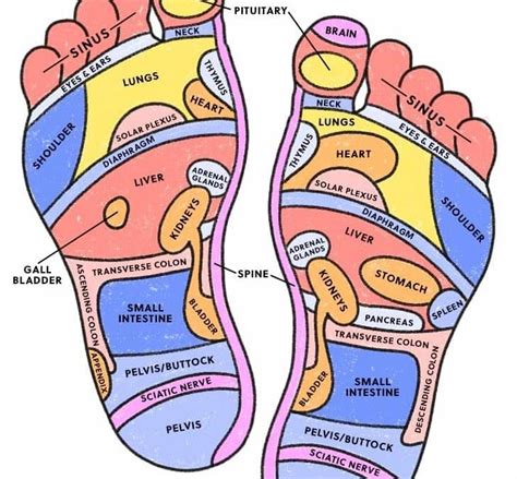 Foot Reflexology- Curing The Diseases By Pressing Foot