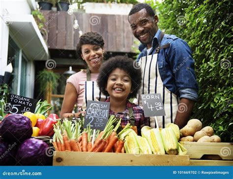 Farmers Selling Fresh Organic Vegetables at the Market Stock Photo ...