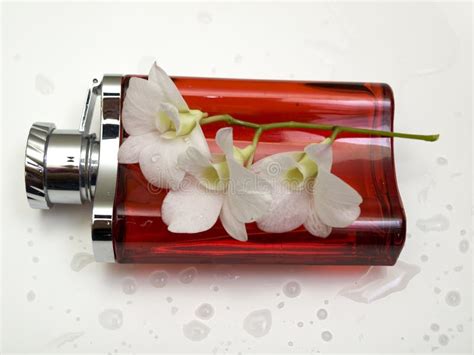 Red bottle for perfume stock photo. Image of pink, merchandise - 11717602