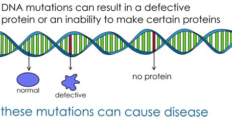 What Is Mutation Cause And Different Types Of Mutation: A Visual ...