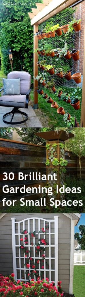 30 Brilliant Gardening Ideas for Small Spaces ~ Bless My Weeds