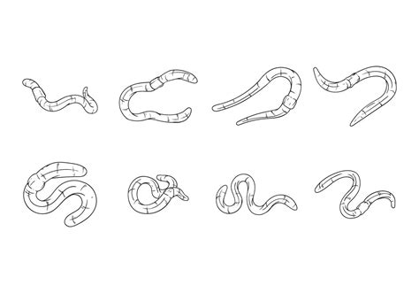 Free Hand Drawing Earthworm Vector 120259 Vector Art at Vecteezy