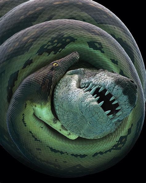 Titanoboa: Monster Snake