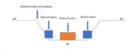 DAILY MOTOR FLUCTUATIONS IN PATIENTS WITH PARKINSON'S DISEASE (ON/OFF ...