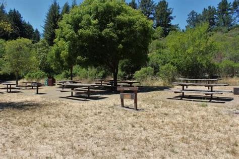 Reinhardt Redwood Picnic Areas - Oakland | East Bay Parks