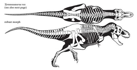 T Rex Skeleton Drawing - chartdevelopment