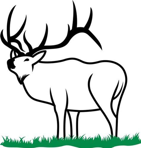 Elk Outline Vector Illustration | AnnTheGran