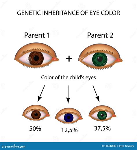 what are hazel eyes what color are they skin care geeks - behind these ...