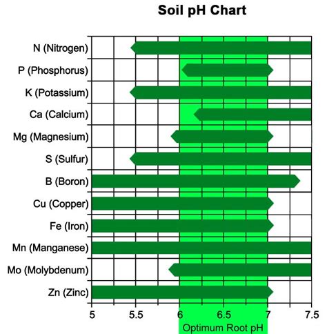 What soil pH is best for Plumeria