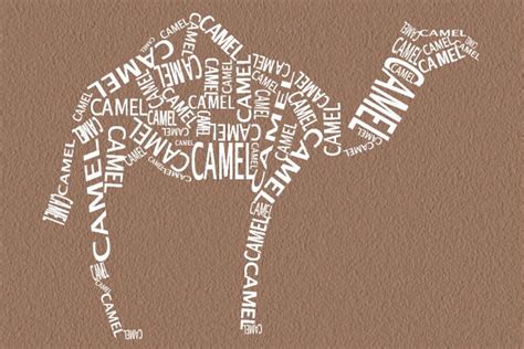 15 Examples of Animal Typography