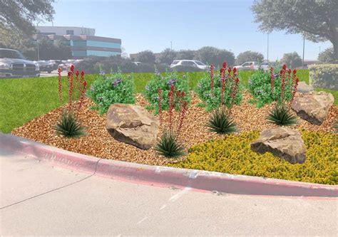 The 12 Best Drought-Tolerant Plants For Dallas, Texas Commercial ...