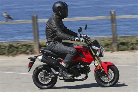 2014 Honda Grom Motorcycle Review