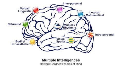 Multiple Intelligences/ Howard Gardner... | Download Scientific Diagram