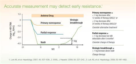 RealTime HBV Viral Load Assay | Abbott Molecular