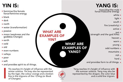 What the Yin Yang Symbol Means for Your Pet - TCVM Pet Supply