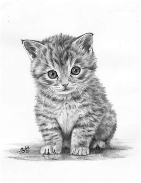 How To Draw A Realistic Kitten Step By Step