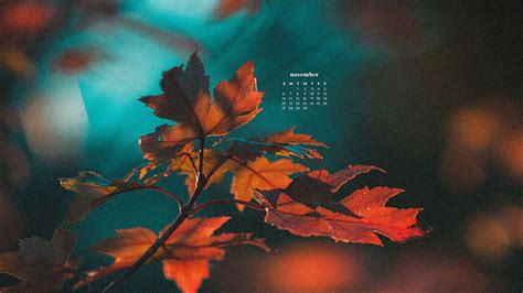 November 2022 Desktop Wallpaper