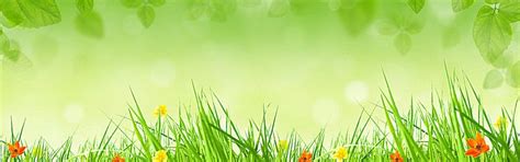 Nature Background Banner