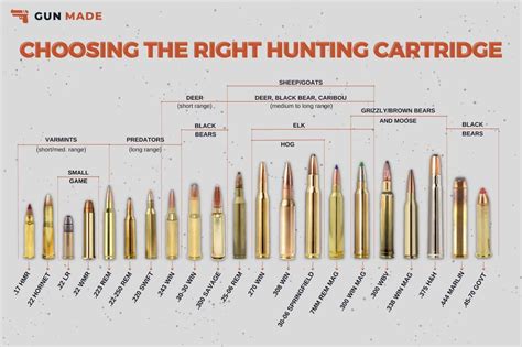 A Comprehensive Guide To Choosing the Right Caliber with a Rifle ...