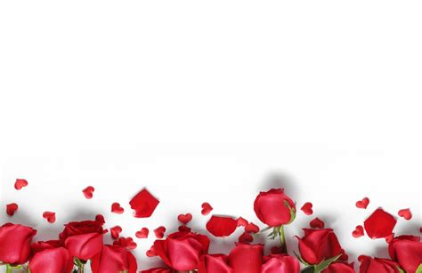 Red Roses Background – Fastcode.Space