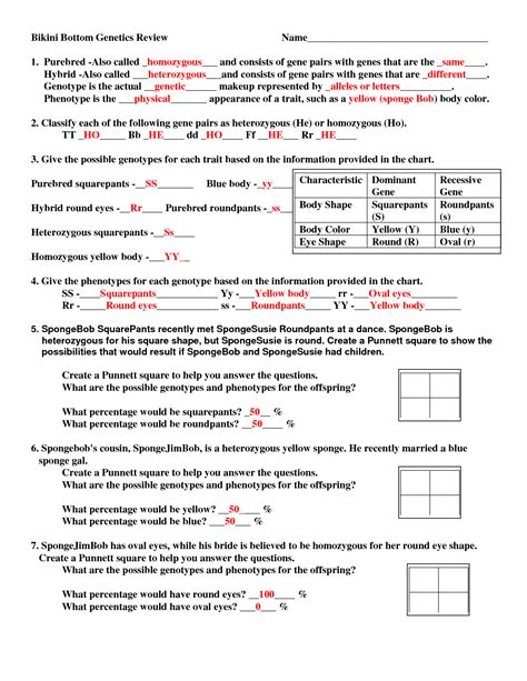 Worksheet On Punnett Squares Punnett Squares Ia2 Ratios Incl