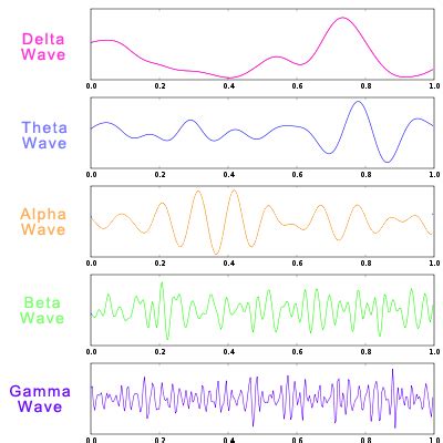 Different Types of Brain Waves: Delta, Theta, Alpha, Beta, Gamma