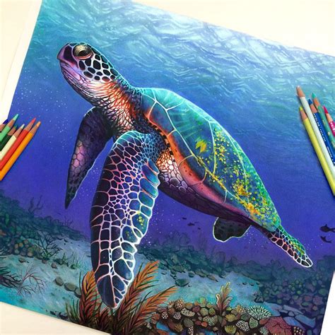 Incredible Sea Turtle Pencil Drawing