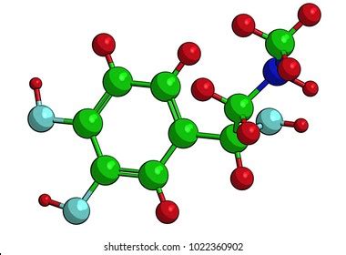 Molecular Structure Adrenaline Epinephrine Adrenaline Epinephrine Stock ...