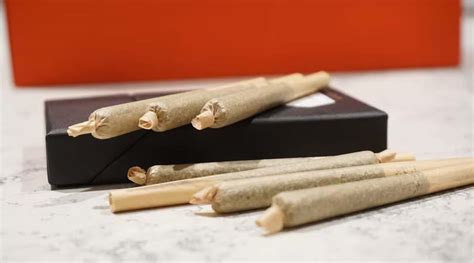 How To Make A Filter for A Joint - Get Kush