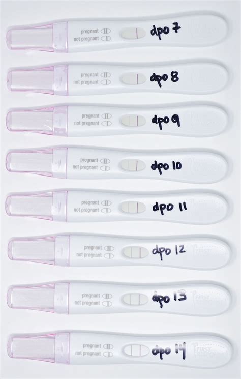 Dollar Tree Pregnancy Test Accuracy Before Missed Period