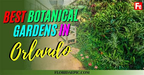 10 Best Botanical Gardens in Orlando, Florida (Must Visit) - Florida Epic