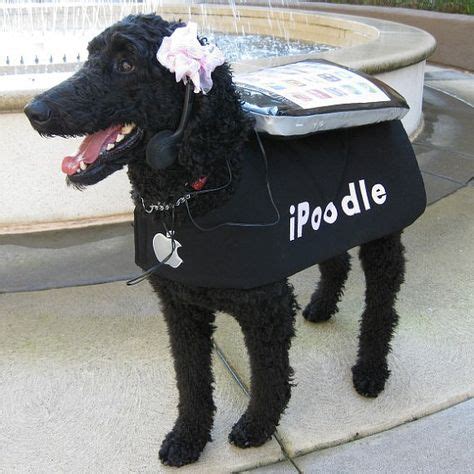 Poodle costumes