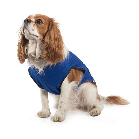 Dog Cooling Coat - Pets and Lifestyle