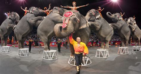 Why seeing circus elephants will soon be over in New York