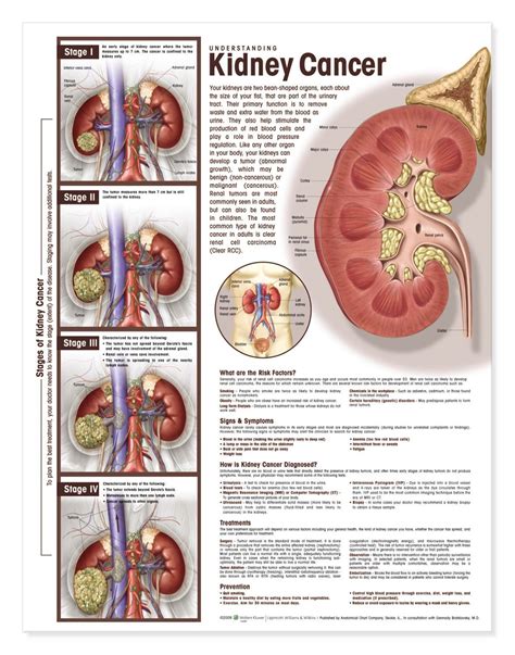 Tumor Size Chart